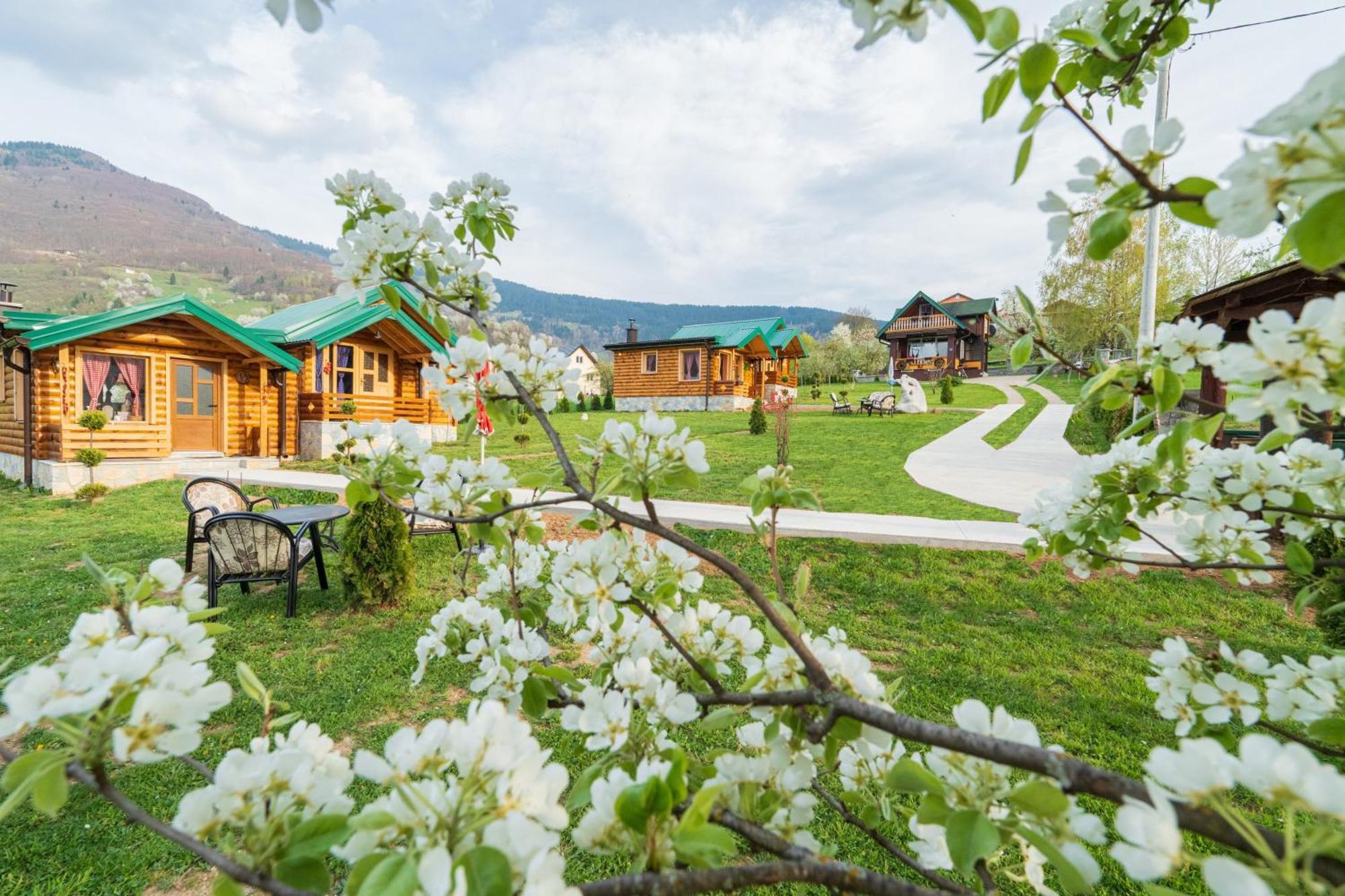Villa Salerno camp Plav Esterno foto